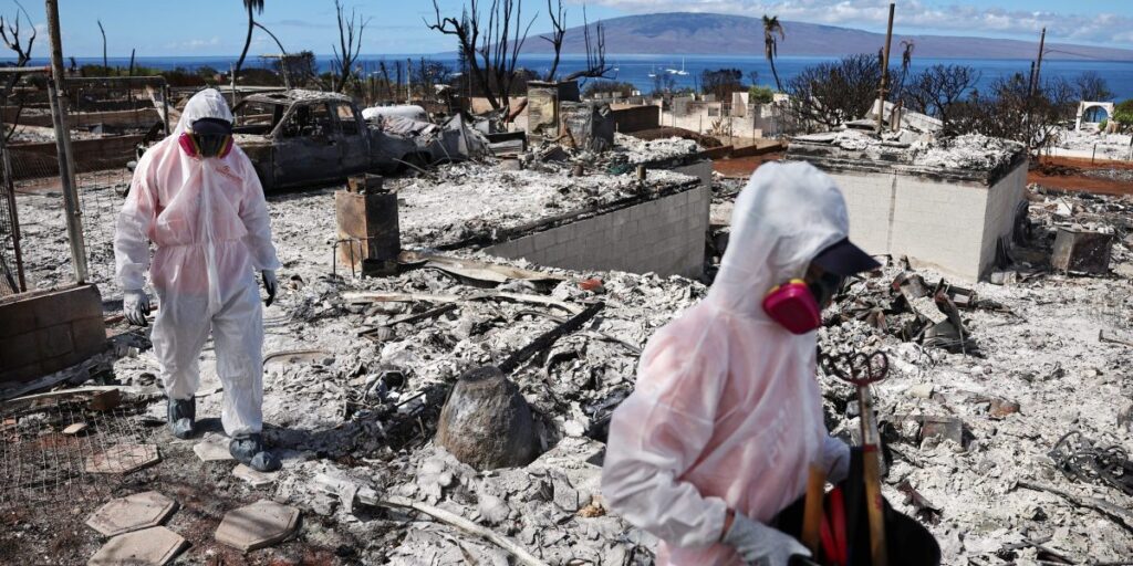 Maui's tourists mean well. But they're traumatizing locals by asking about the devastating wildfire: ‘Unless you’re a therapist, I don’t want to talk to you about it'