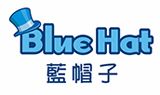 Blue Hat Interactive Entertainment Technology 2024 Financial Results Report: Total Assets Surge by 53%