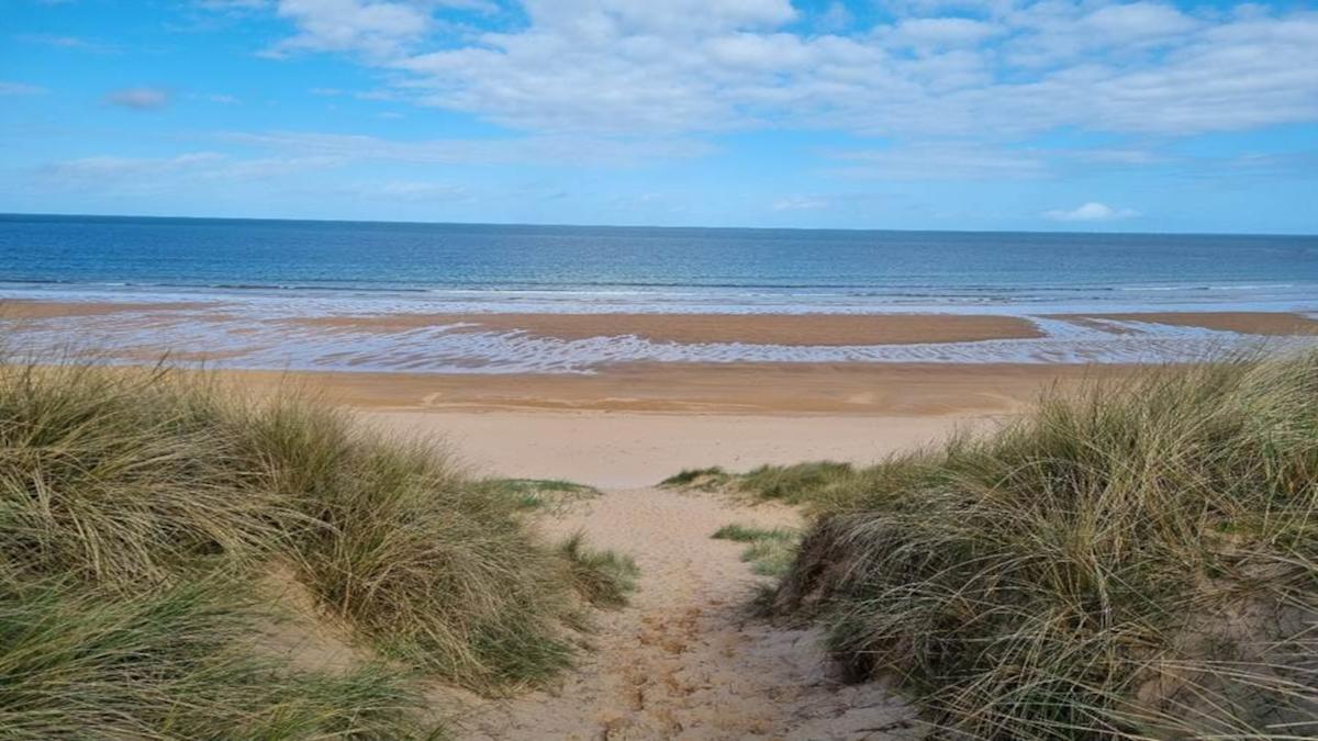 Scotland grants offshore consent for 100MW Salamander wind farm