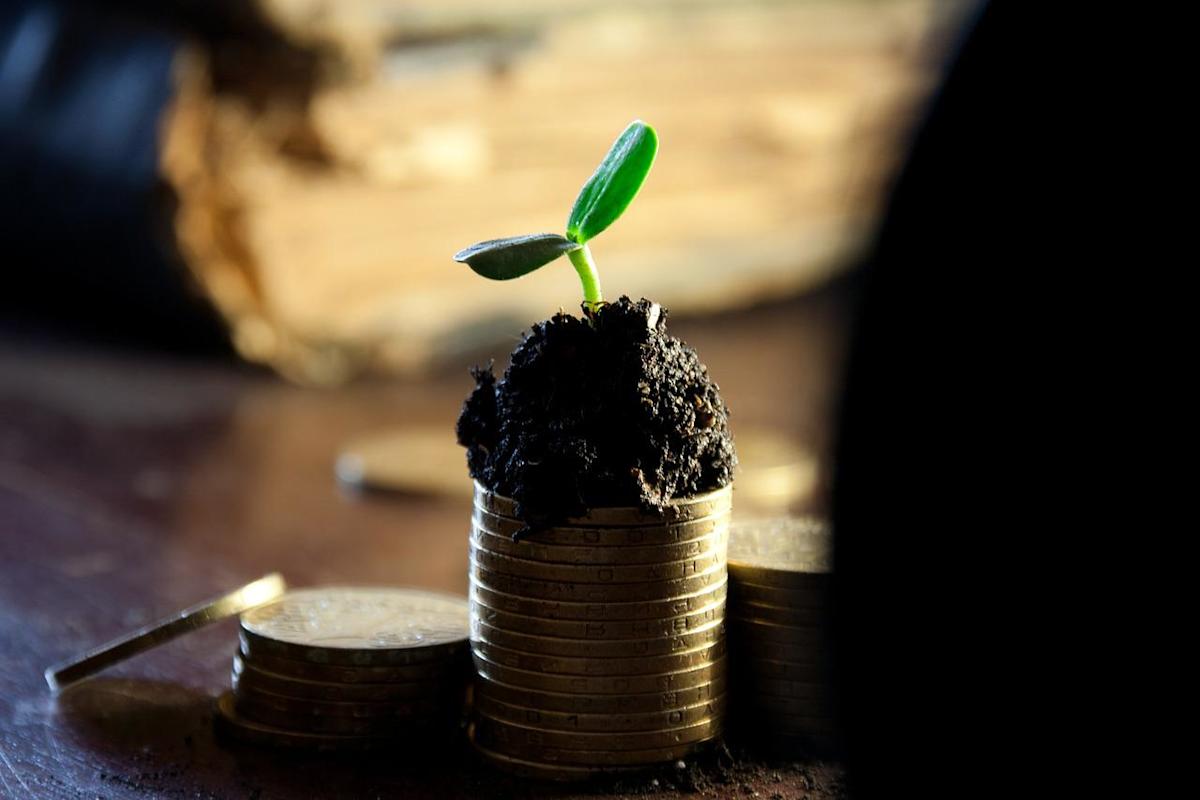 A Surprising Contender Among Cheap Dividend Stocks