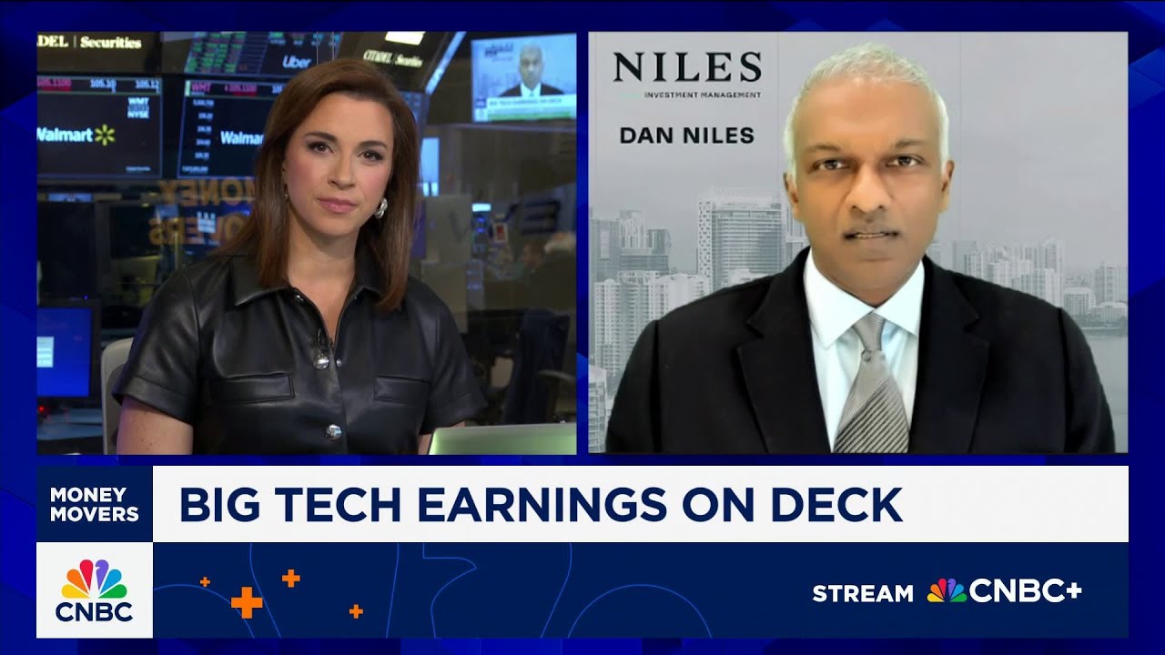 You will see a 30 to 40% correction in many AI-related names next year, says Dan Niles