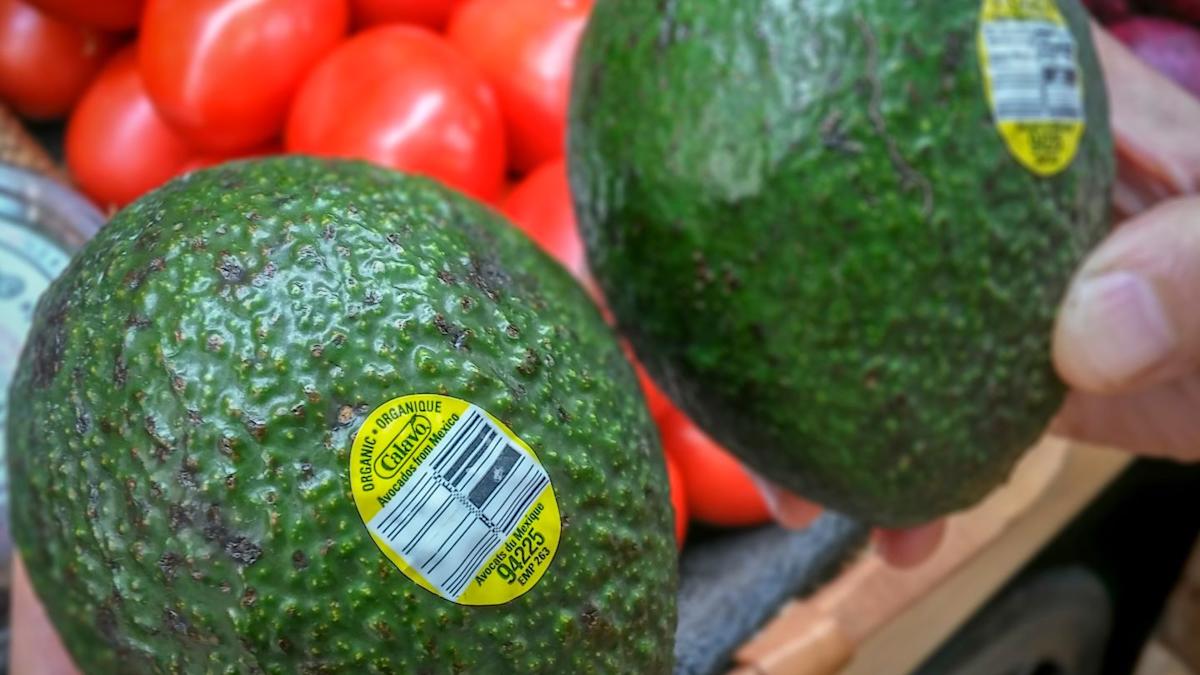 Calavo Growers appoints former finance chief as new CEO