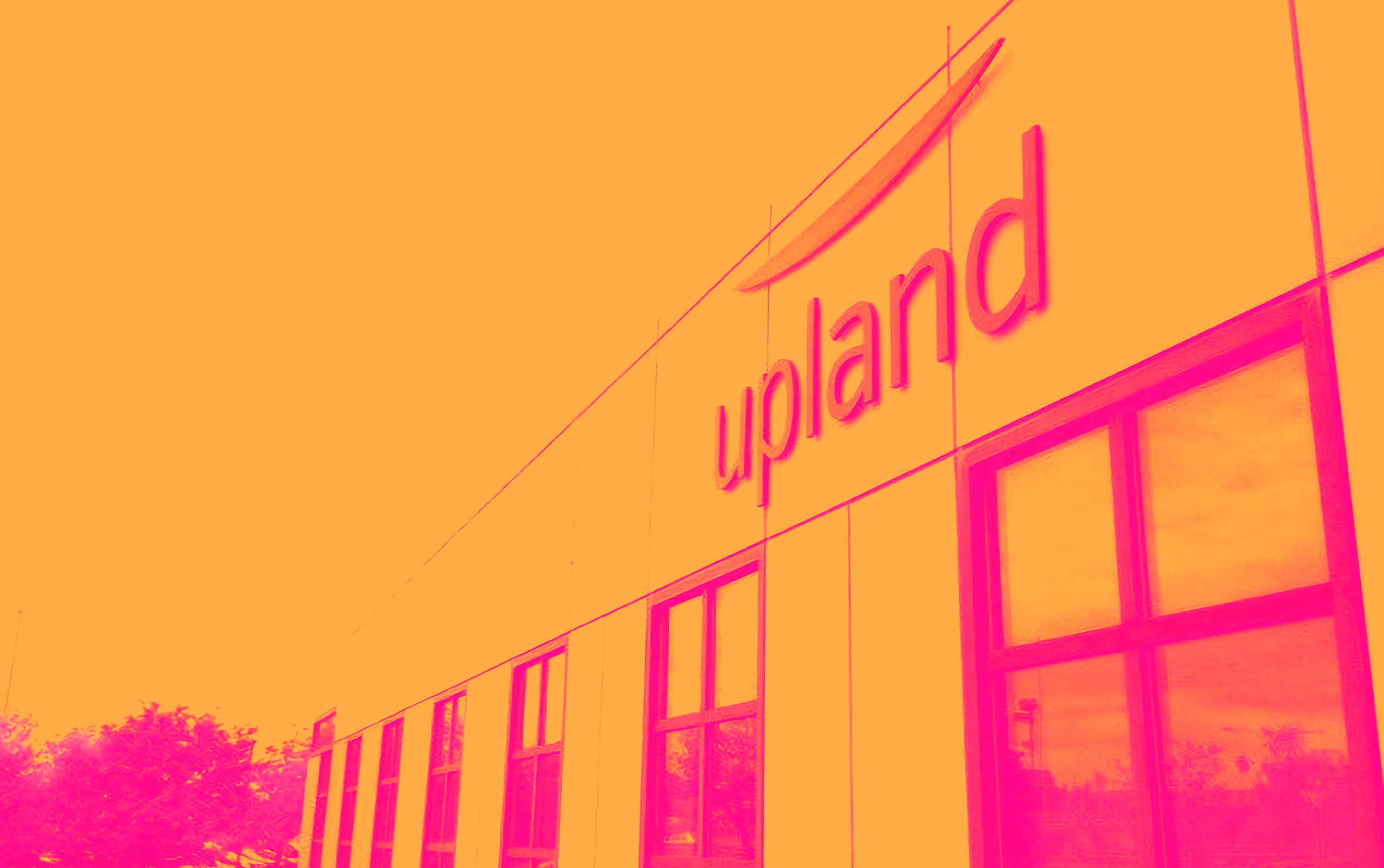 Upland Software, Unity, Palantir Technologies, AppLovin, and C3.ai Shares Are Soaring, What You Need To Know